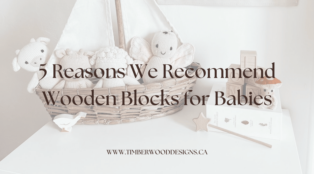 5 Reasons We Recommend Wooden Blocks for Babies