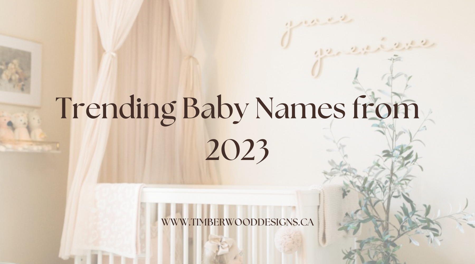 Trending Baby Names from 2023