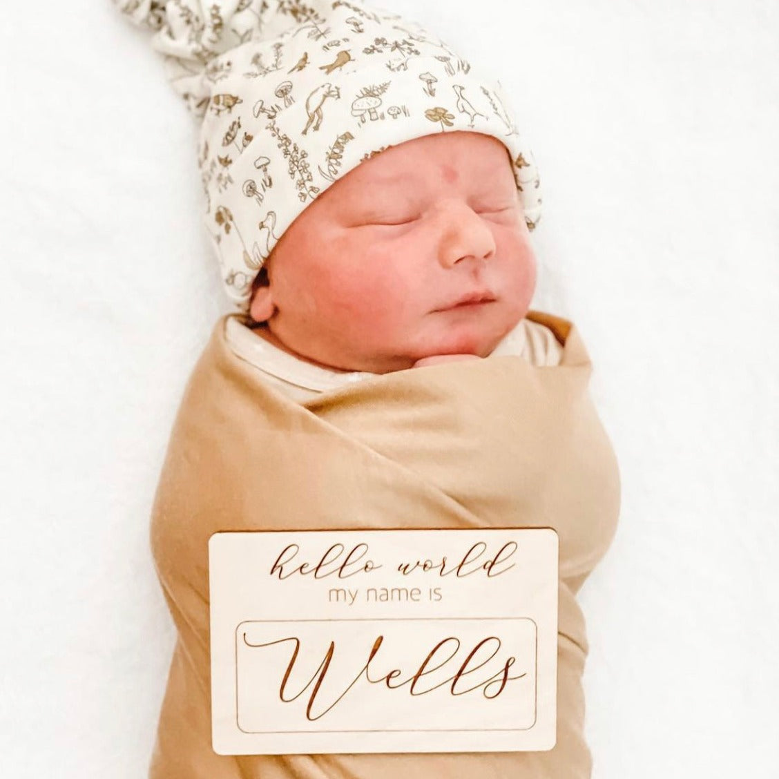 hello world my name is plaque